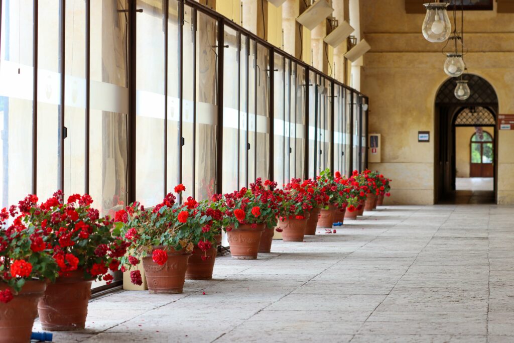 Italienische Blumenkübel bepflanzt